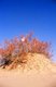 China: A tomb in the sand dunes near the Imam Asim Mazar (shrine) in the desert near Khotan, Xinjiang Province